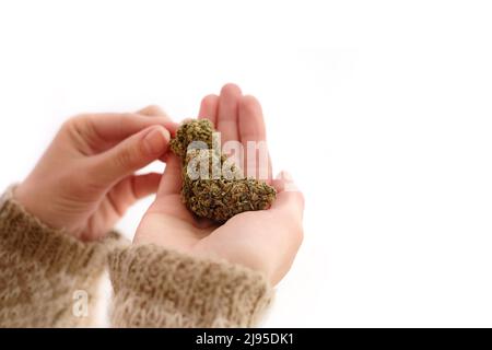 Nahaufnahme`s Cannabisknospen in den Händen einer jungen Frau auf braunem Hintergrund. Medizinisches Marihuana-Nutzungskonzept. Stockfoto